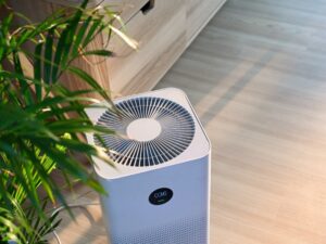 Need an Air Purifier in Orlando, FL